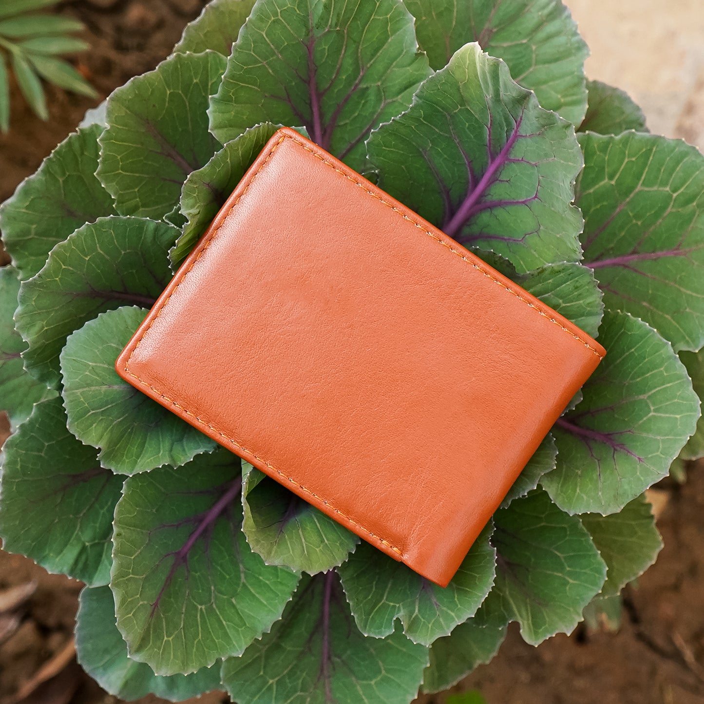 Mustard genuine Leather wallet 04